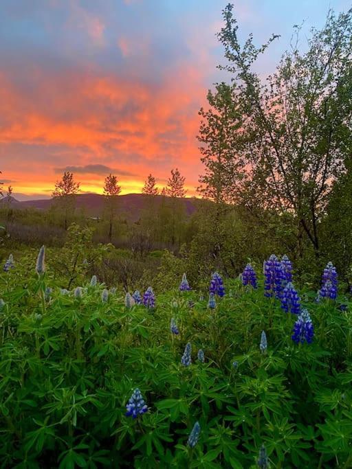 Luxury Cottage Located In The Golden Circle, Mountain View! Laugarvatn Exteriér fotografie